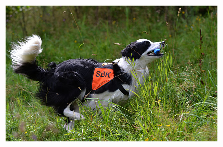 Camp fick för dagen en sämre fotograf så det blev bara en någorlunda bild