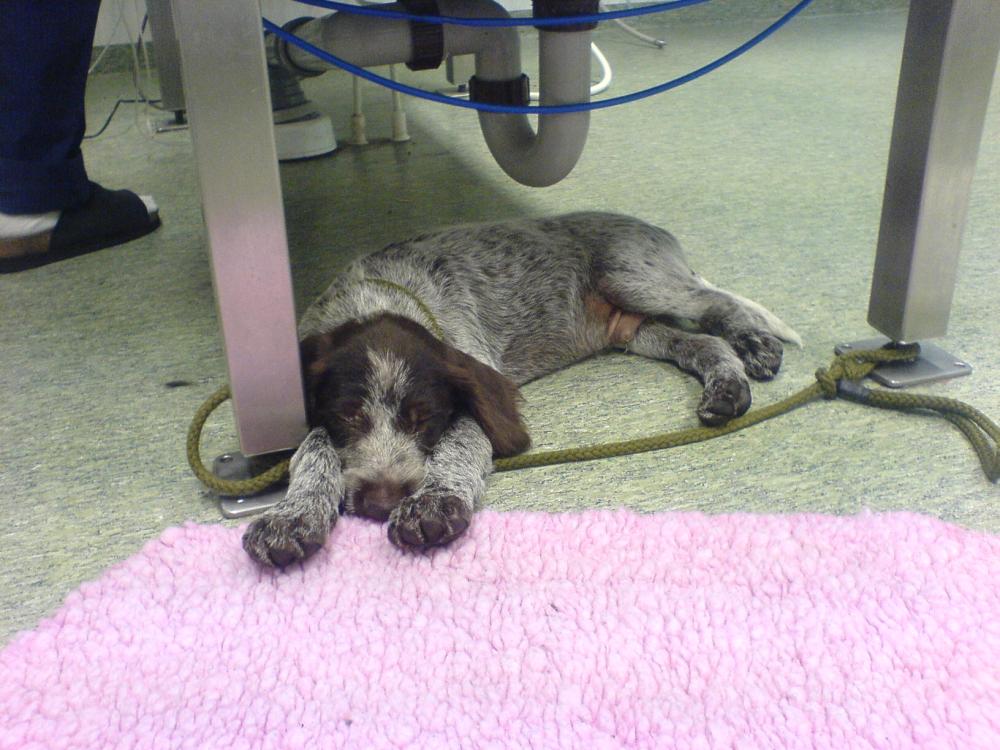 Första dagen på jobbet