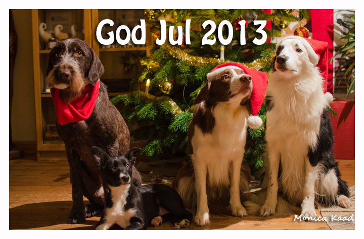 God-Jul-2013