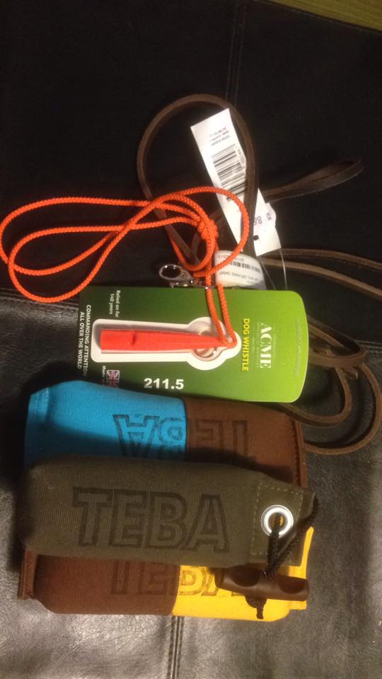 11117862_10153157810689892_1169946925_n