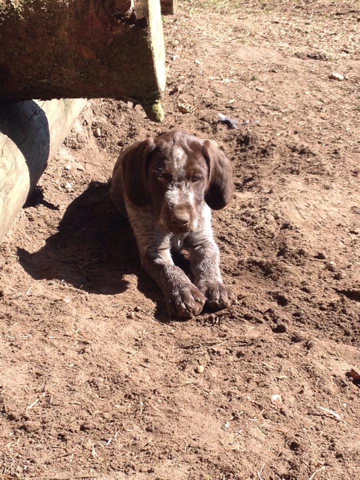 11130699_10206503390331947_411908437_n