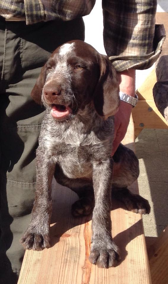 11132121_10206602387086804_1987692012_n