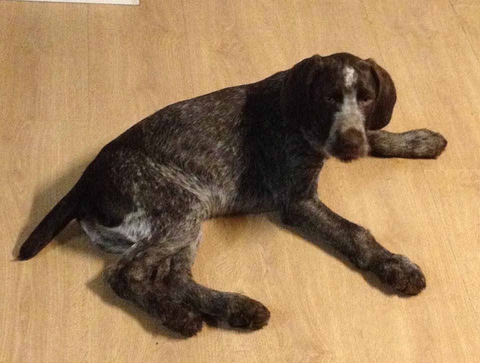 11160104_10206676792386890_2023887230_n