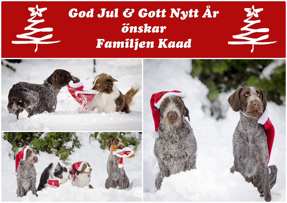 Julkort förslag 1 H&T