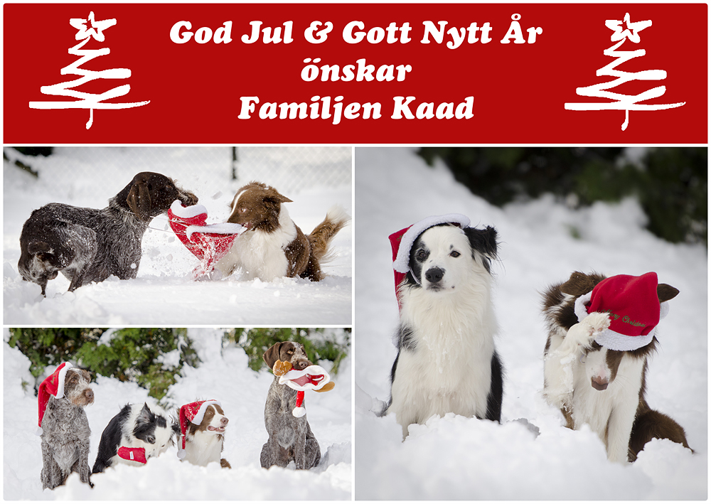 Julkort förslag 1 R&C