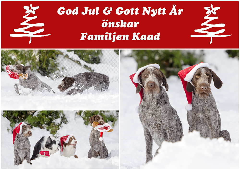 Julkort förslag 2 H&T