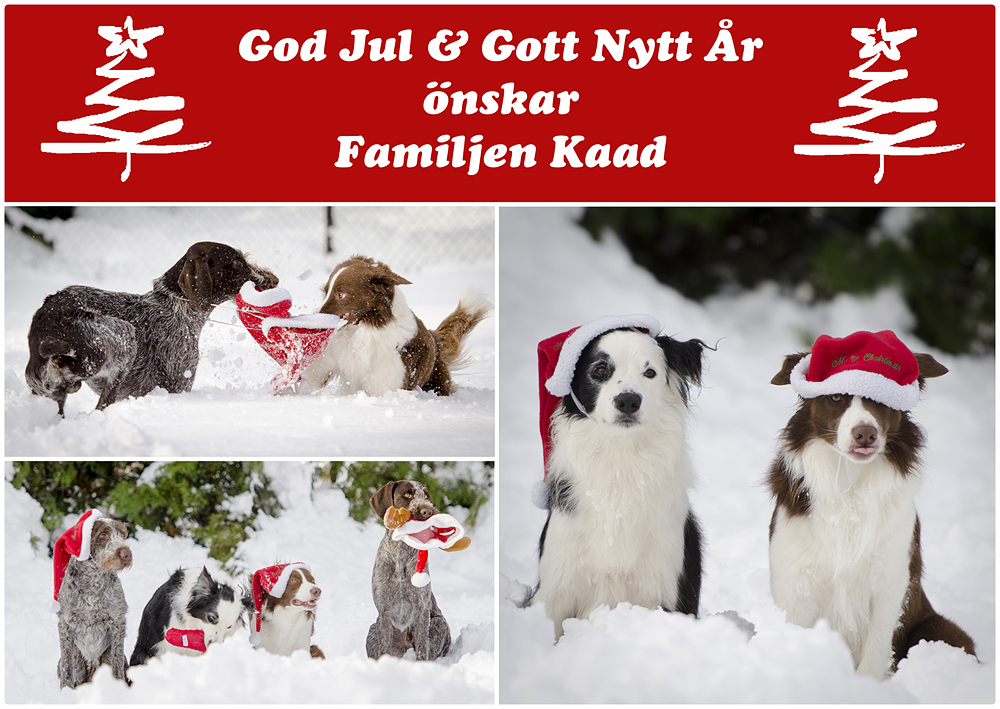 Julkort förslag 2 R&C