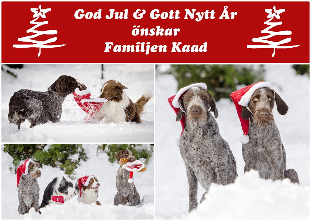 Julkort förslag 2b H&T