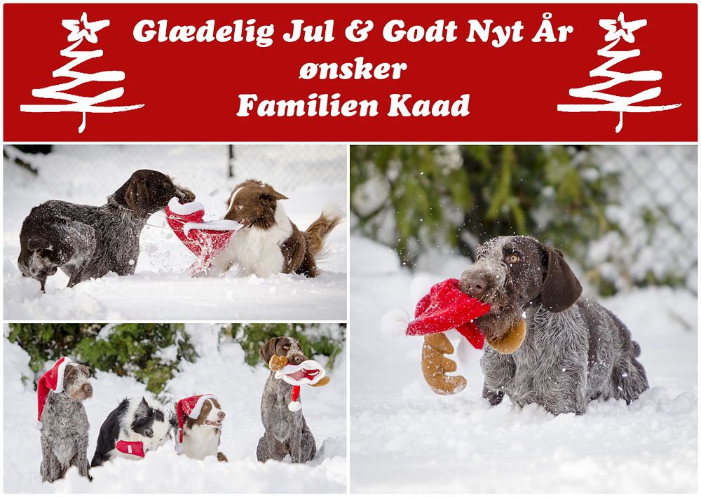 Julkort förslag 3 Holger Danske