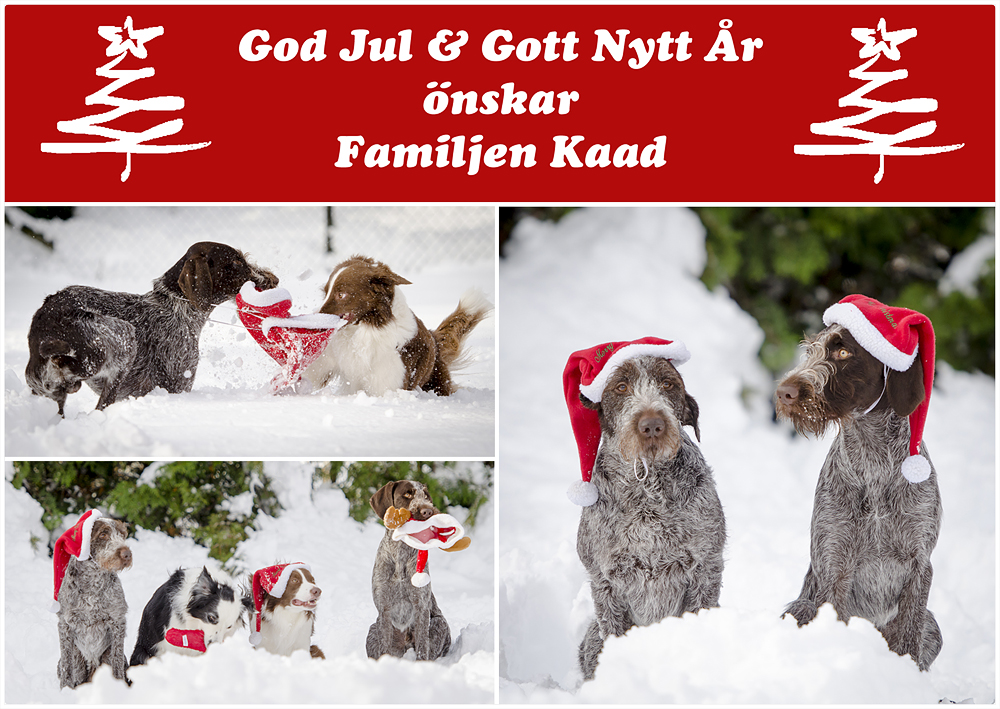 Julkort förslag 3 H&T