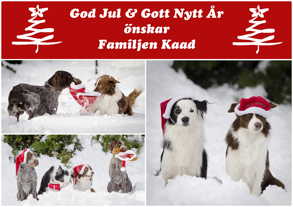 Julkort förslag 3 R&C