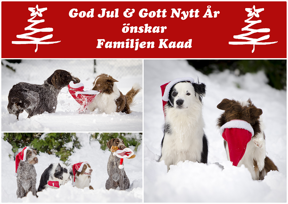 Julkort förslag 5 R&C